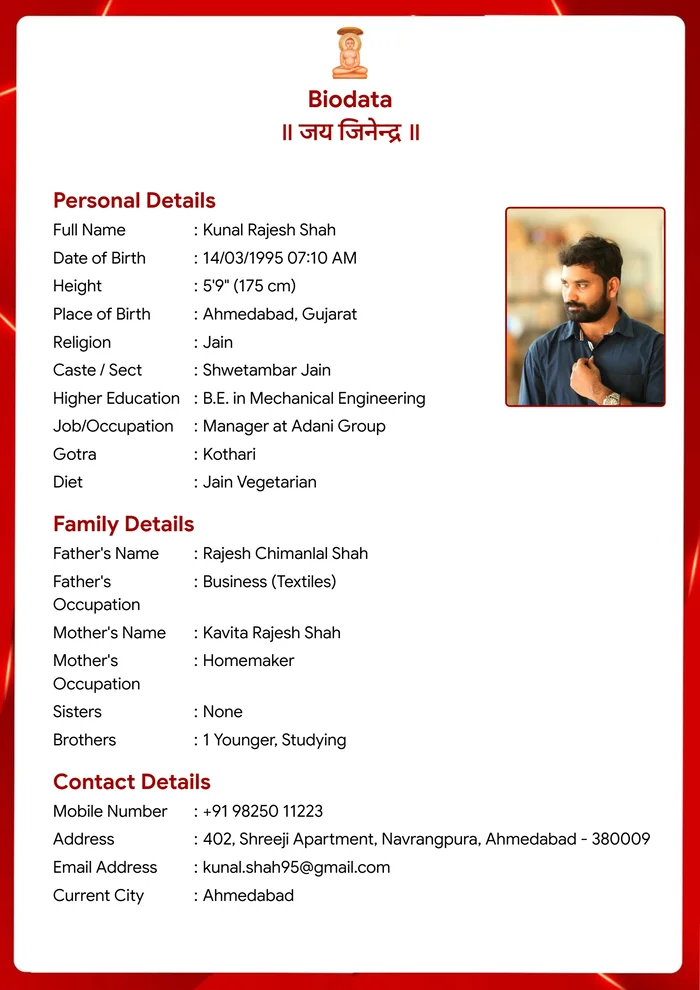 Abstract Flames biodata template